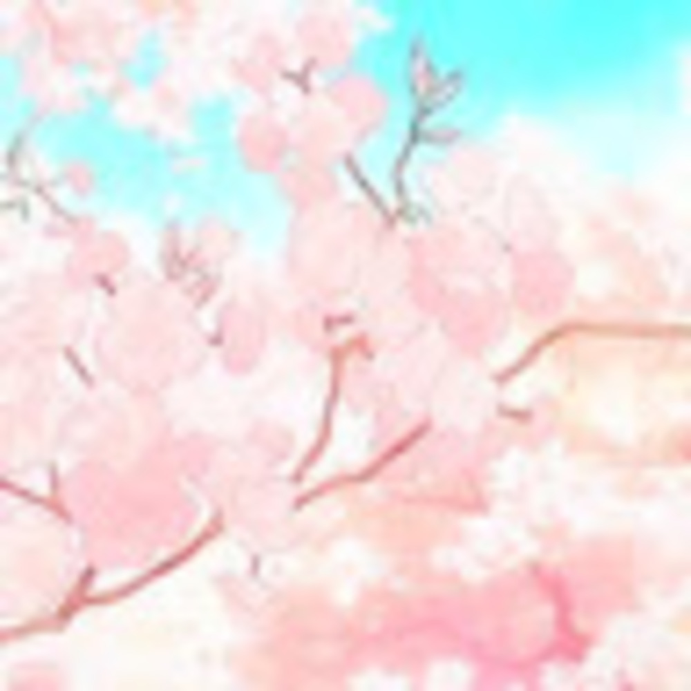 Meet your Posher, Gabby